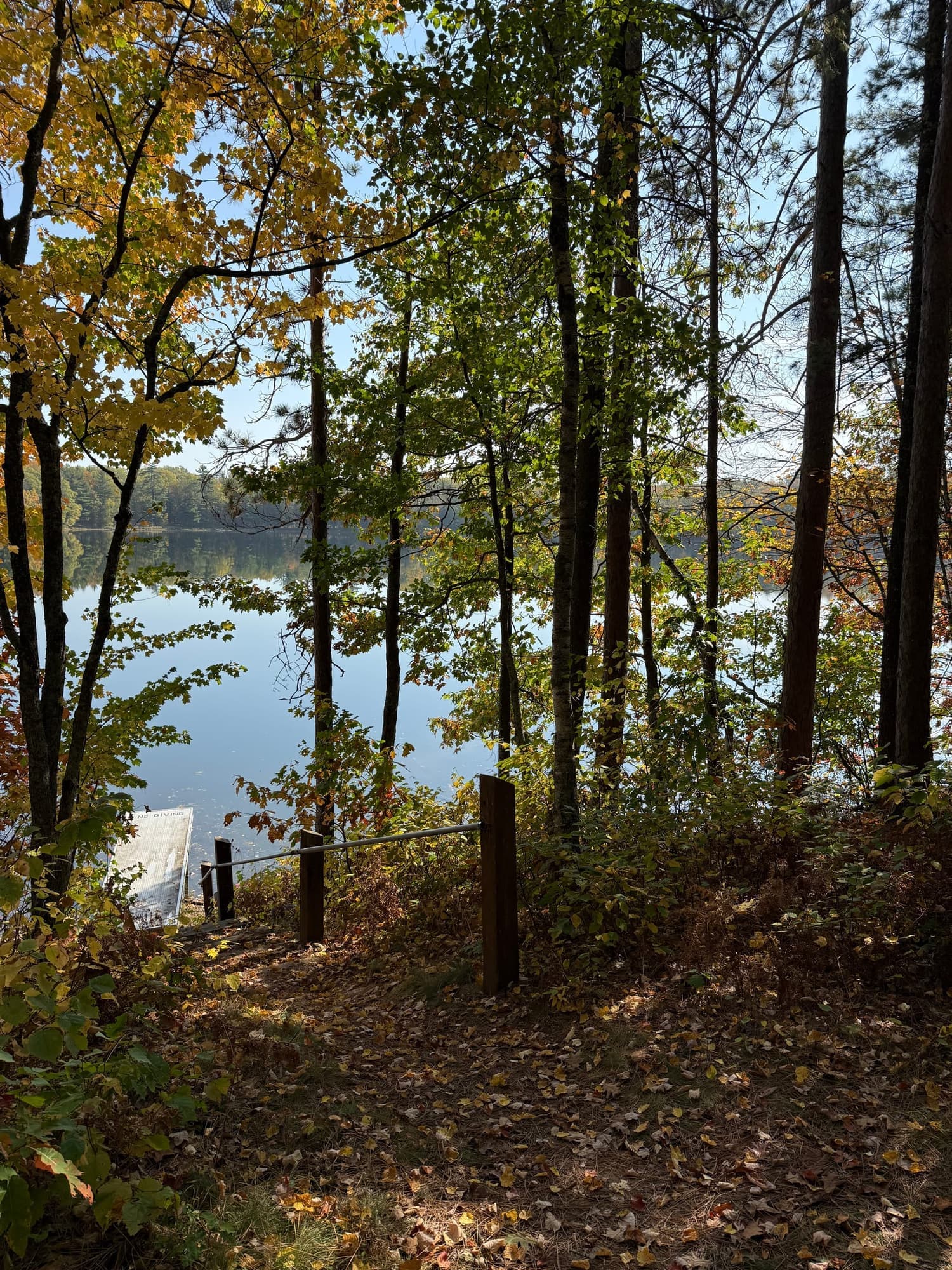 Dock and lake glimpsed through lakeside trees